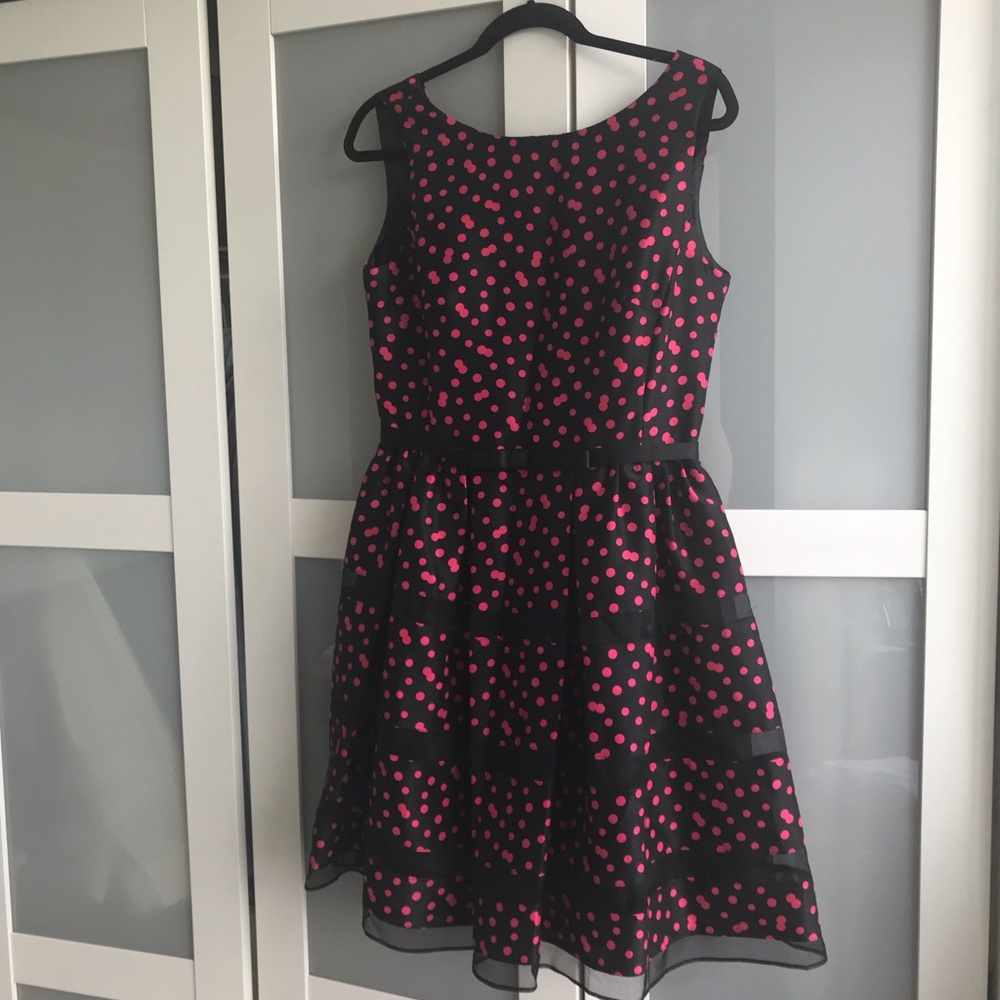 Taylor black and fuchsia cocktail dress